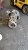 ������� ������� ��� Daewoo Novus �����������