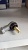 ���������� ������ Hyundai Gold, Hyundai HD170 ������ �8 �����
