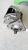 ������� Hyundai HD120, Kia Rhino, Hyundai AeroTown