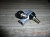���������� ������ Hyundai Gold, Hyundai HD170 ������ �8 �����