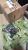 ����� �������� Daewoo Novus DE12 