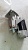������� Hyundai HD120, Kia Rhino, Hyundai AeroTown