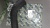 �������� ��������� Daewoo Novus DL06 ������� (�������)